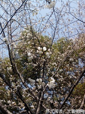 《BJ单身日记》观后感10篇