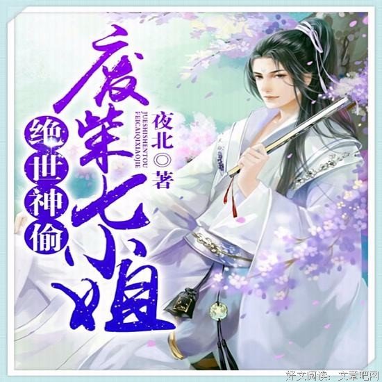 《绝色神偷》影评10篇