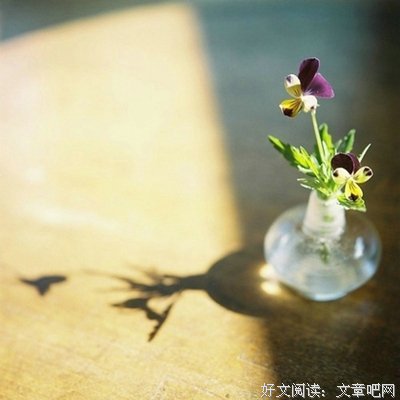 世上只有的优美句子