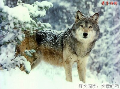 劳逸结合的名句_关于劳逸结合的名句