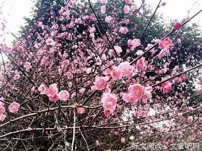 关于疲于奔命的语句