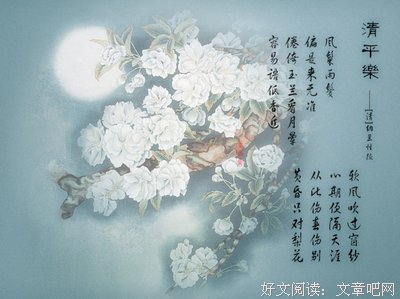 最经典的公子未央，寒月璃名言大全