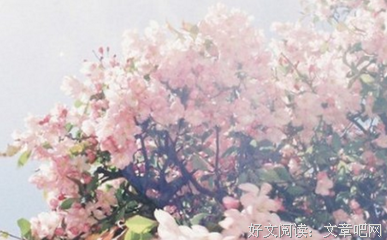 能够收获渣男芳心的星座女