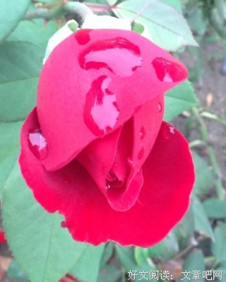 这几个生肖最幸福财运桃花都旺盛，人财两得