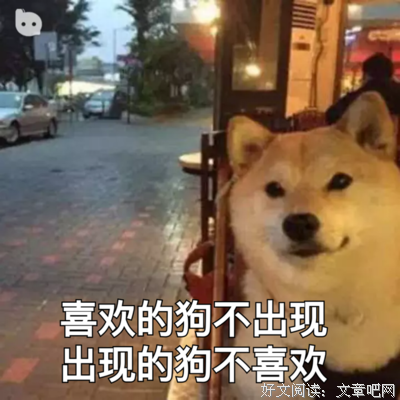 喜欢的人不出现，出现的人不喜欢丨15个继续单身的理由
