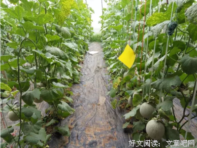 泡在图书馆里的女生：每年读多少书才能完成自我成长？