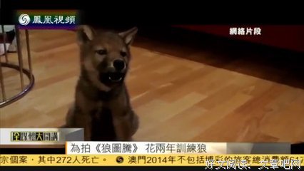 “贾静雯，你个白眼狼”