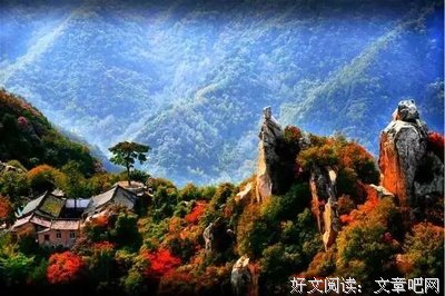送给那些把我当傻子的人！