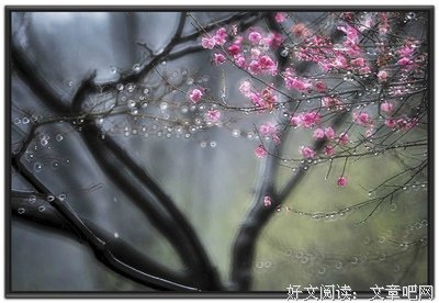 《风骨》的句子