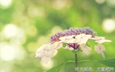 普通句子大全