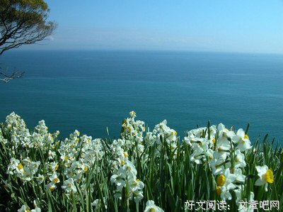 夏2017的句子