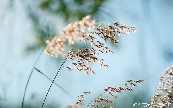 有关当他说他不喜欢你，12个回答的句子