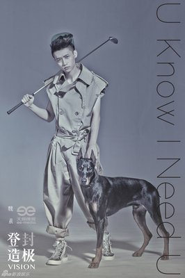 魏晨的句子