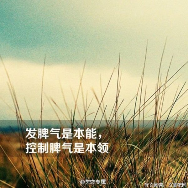 关于江川的唯美语录