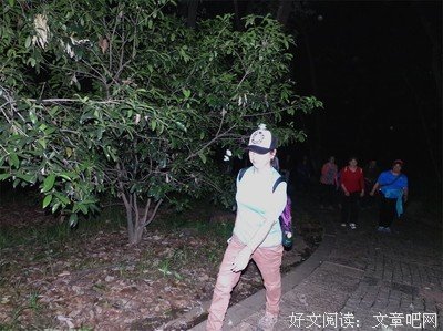 夜行记的读后感10篇
