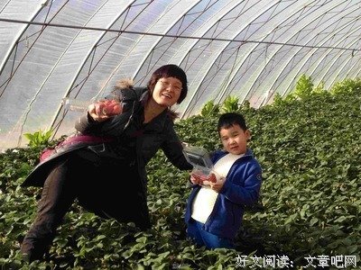 《草莓之夜》读后感10篇