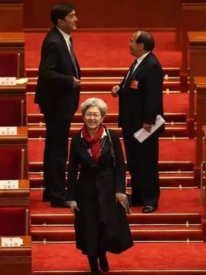 中国最高雅的女人