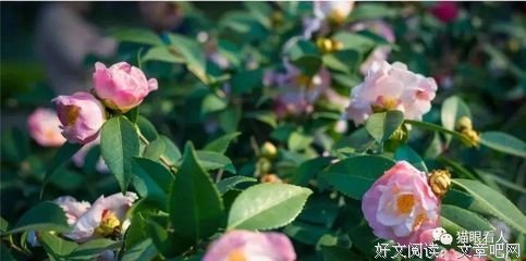 无论你的儿女多大，一定要发给他们看看，写的很到位（精辟）