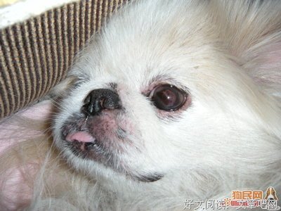 “我是人贩子拐来的，没有爸爸”