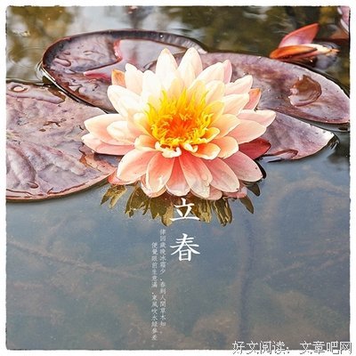 你和食物的关系，就是你和万物的关系