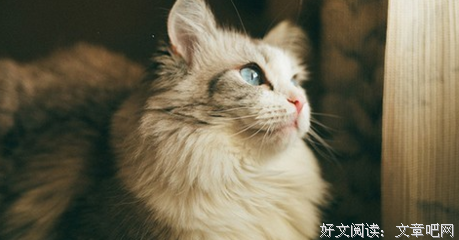①经典的句子