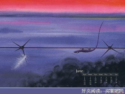 几米说名句欣赏