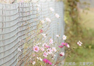 关于我与我的优美句子