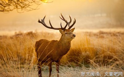 子多和年心经典的句子