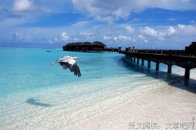 美图美句句子