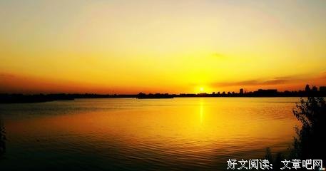 描写七零八落的语句摘抄