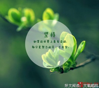 关于风风雨雨的名言