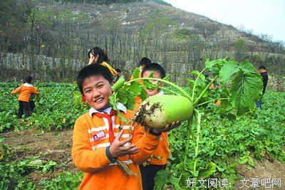 实小的语句摘抄_关于实小的语句