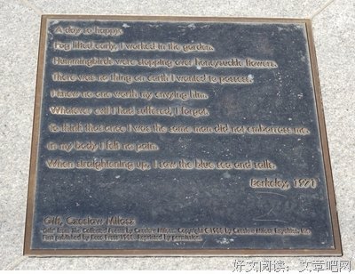 描写米沃什的经典句子