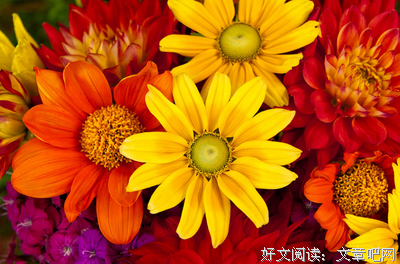 红艳的语句摘抄_关于红艳的语句