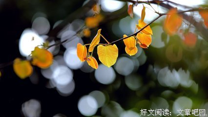 描写望而生畏的经典句子