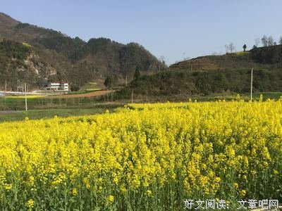 谈个恋爱，废了半条命