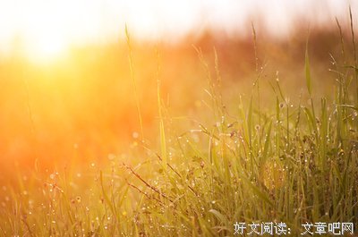 最全的《春时樱，秋时叶》经典句子大全