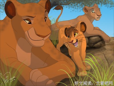 最新的《梦见狮子》小说摘抄大全