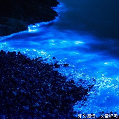 蓝眼泪读后感10篇