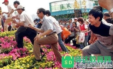 网络、群体与市场读后感精选10篇