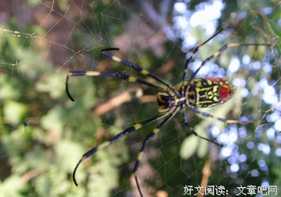异域深眠经典读后感10篇