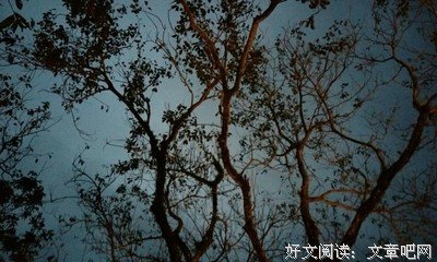 你很珍贵，请好好爱自己