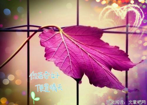心句子大全