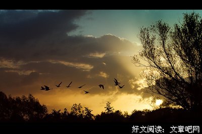 异的句子