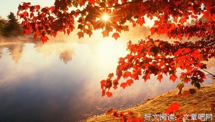 15条关于冷大的经典语句