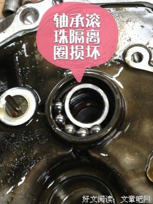 微雨燕双的名句_关于微雨燕双的名句