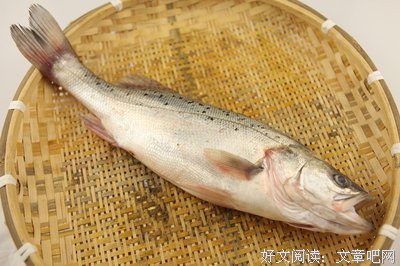 子鱼的句子