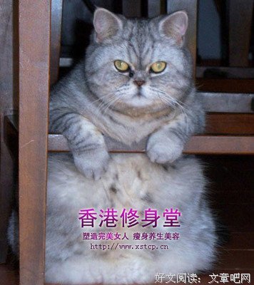 39岁的汤唯未PS照曝光：你满脸皱纹的样子，真美！
