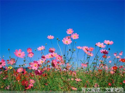 花是浇死的，人是气死的！