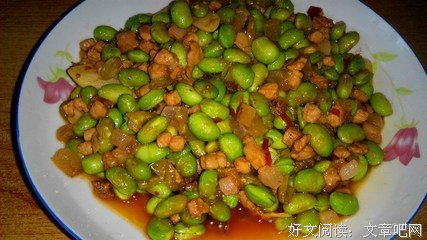 最全的《青豆》经典的句子